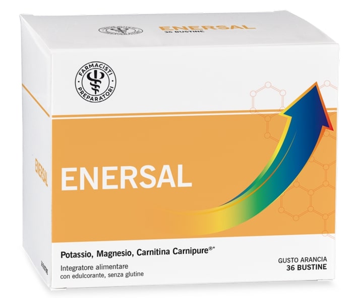 LFP ENERSAL 36 BUSTINE